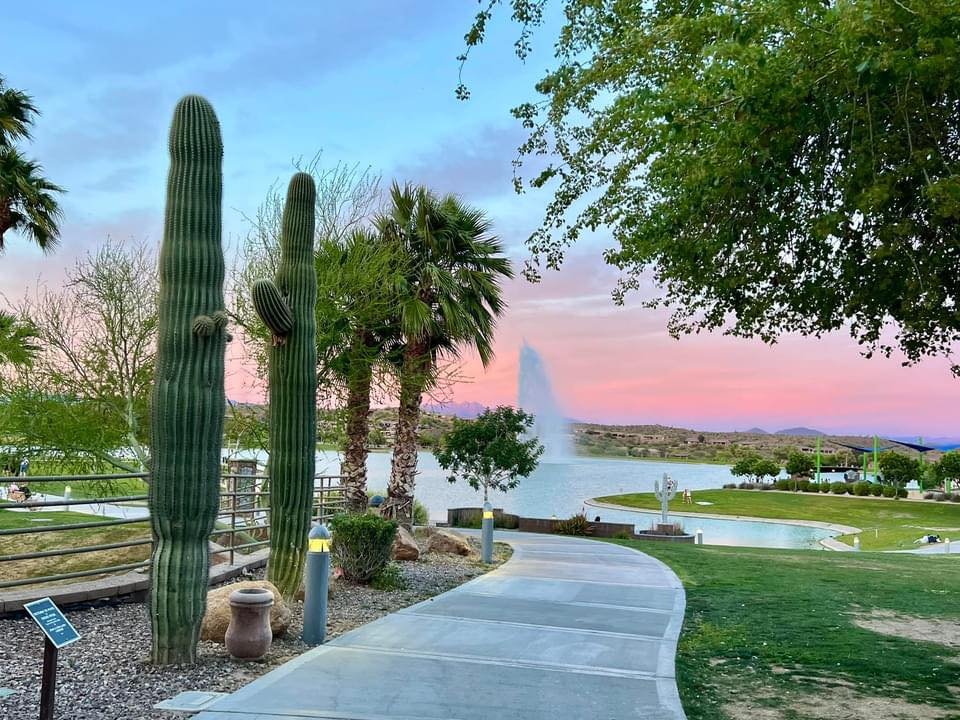 Sunset view of the Fountain at Fountain Hills, Arizona, with saguaro cacti and palm trees along the park walkway